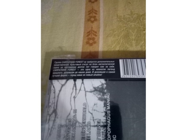 Carpathian Forest