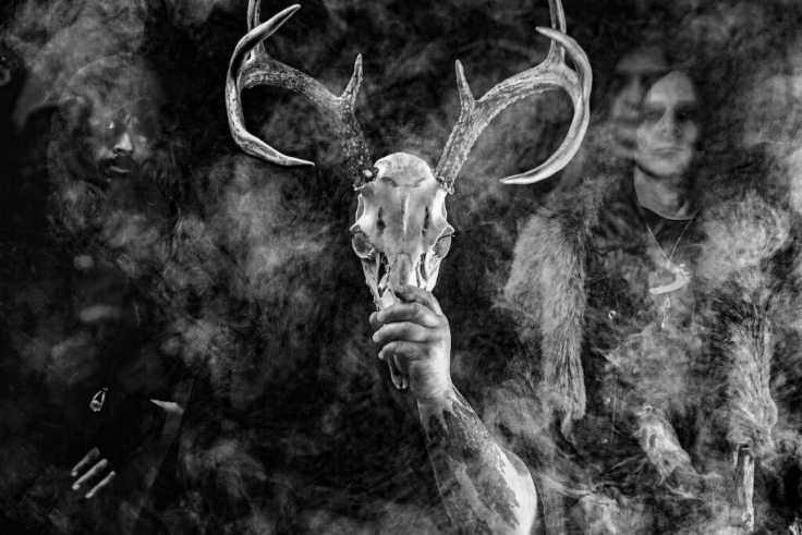 Wolves in the Throne Room